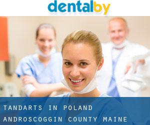 tandarts in Poland (Androscoggin County, Maine)