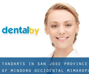 tandarts in San Jose (Province of Mindoro Occidental, Mimaropa)