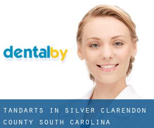 tandarts in Silver (Clarendon County, South Carolina)