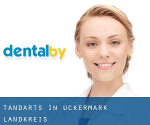 tandarts in Uckermark Landkreis