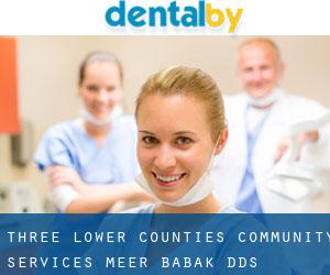 Three Lower Counties Community Services: Meer Babak DDS (Princess Anne)